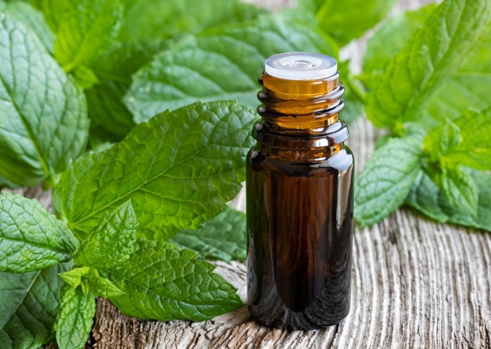 Peppermint Oils to Get Rid of Roaches